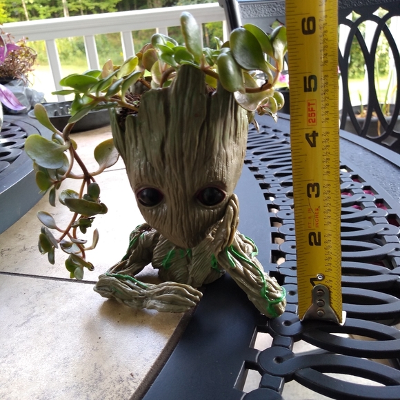Groot planter - Picture 2 of 2